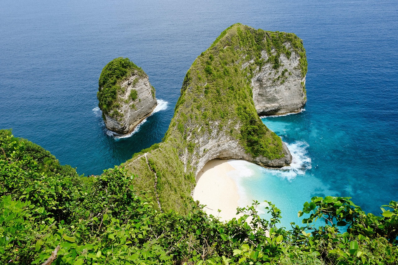 bali, indonesia, kelingking, sea, nature, island, tree, forest